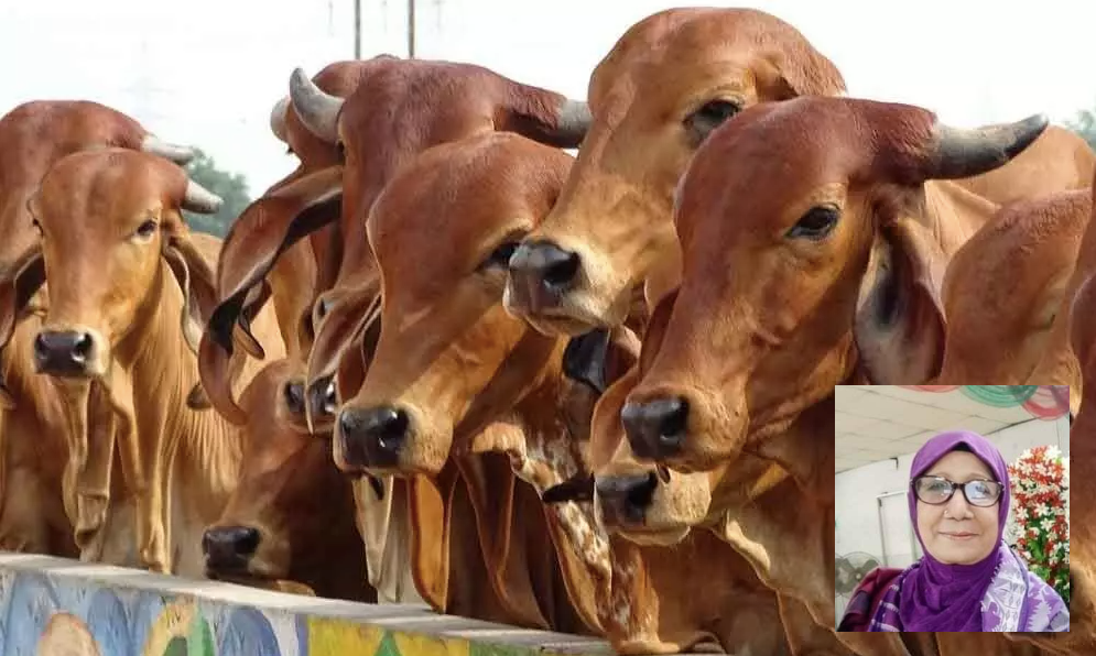 ঈদল আযহা: মানব মনের মনুষত্বের বিকাশ ও পশুত্বের বিনাশ